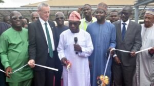 Focus on Renewable Energy Obasanjo Urges FG